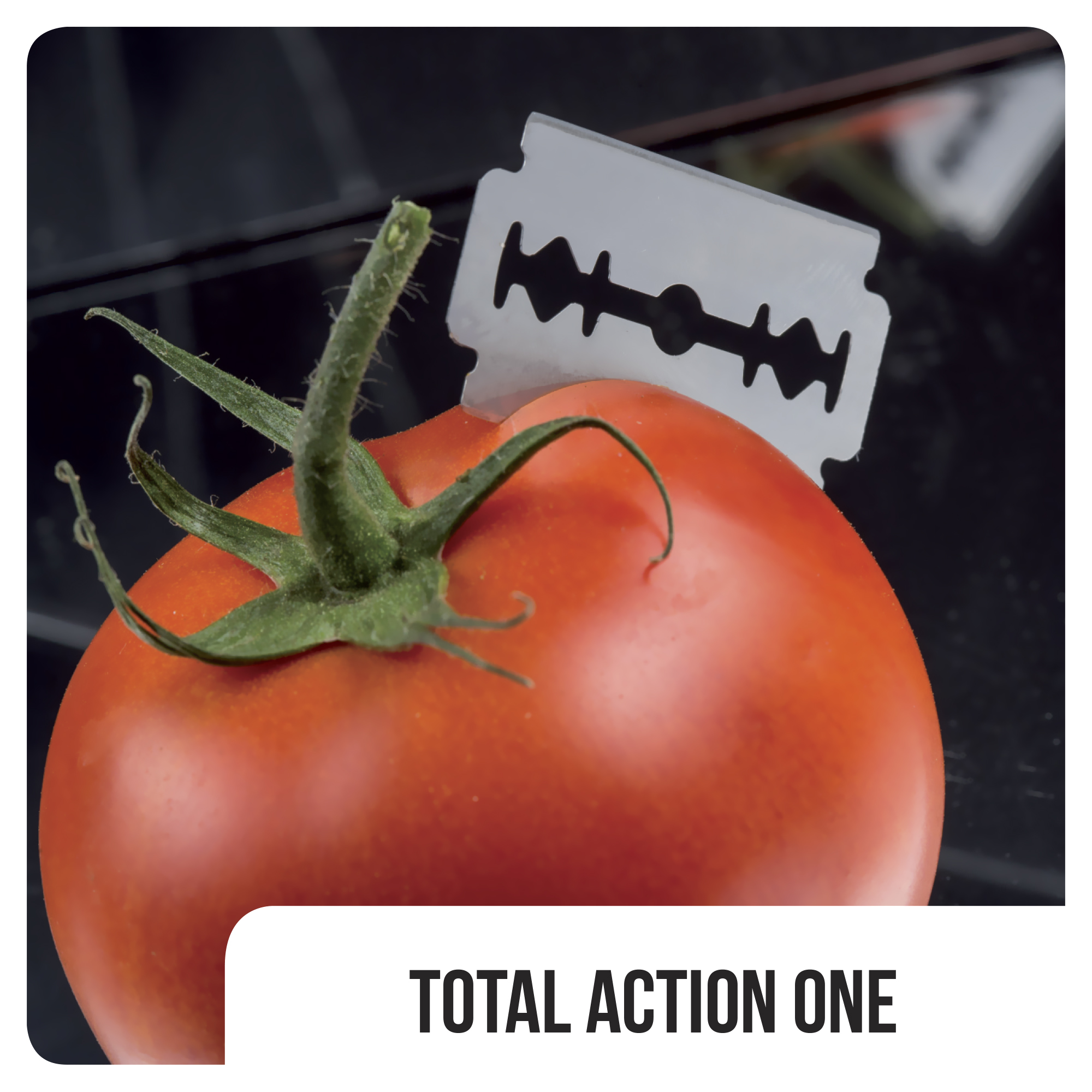 IRR237 - Total Action One